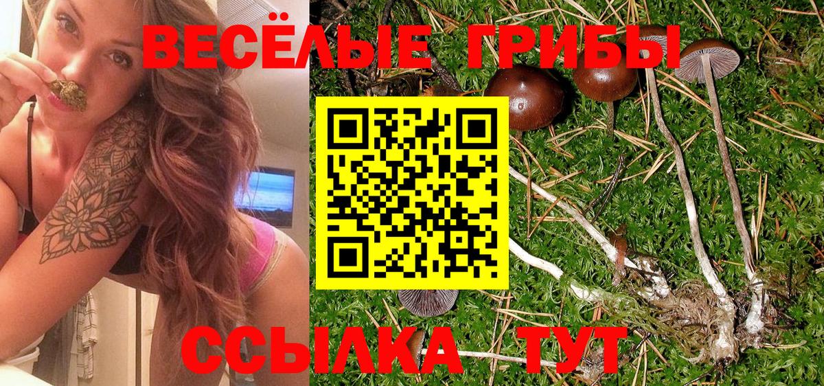 Псилоцибиновые грибы MAGIC MUSHROOMS Уссурийск
